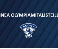 Leijonat